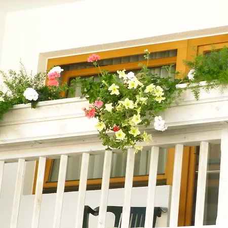 Gaestehaus Rieser 3* מאיירהופן