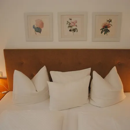 Gaestehaus Rieser Pensionat Mayrhofen